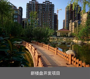 家用四柱停車設(shè)備產(chǎn)品優(yōu)勢(shì)新樓盤開發(fā)項(xiàng)目